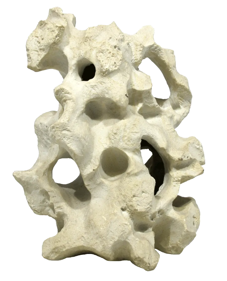 Aquamate - Ornament Holey Rock (Medium)