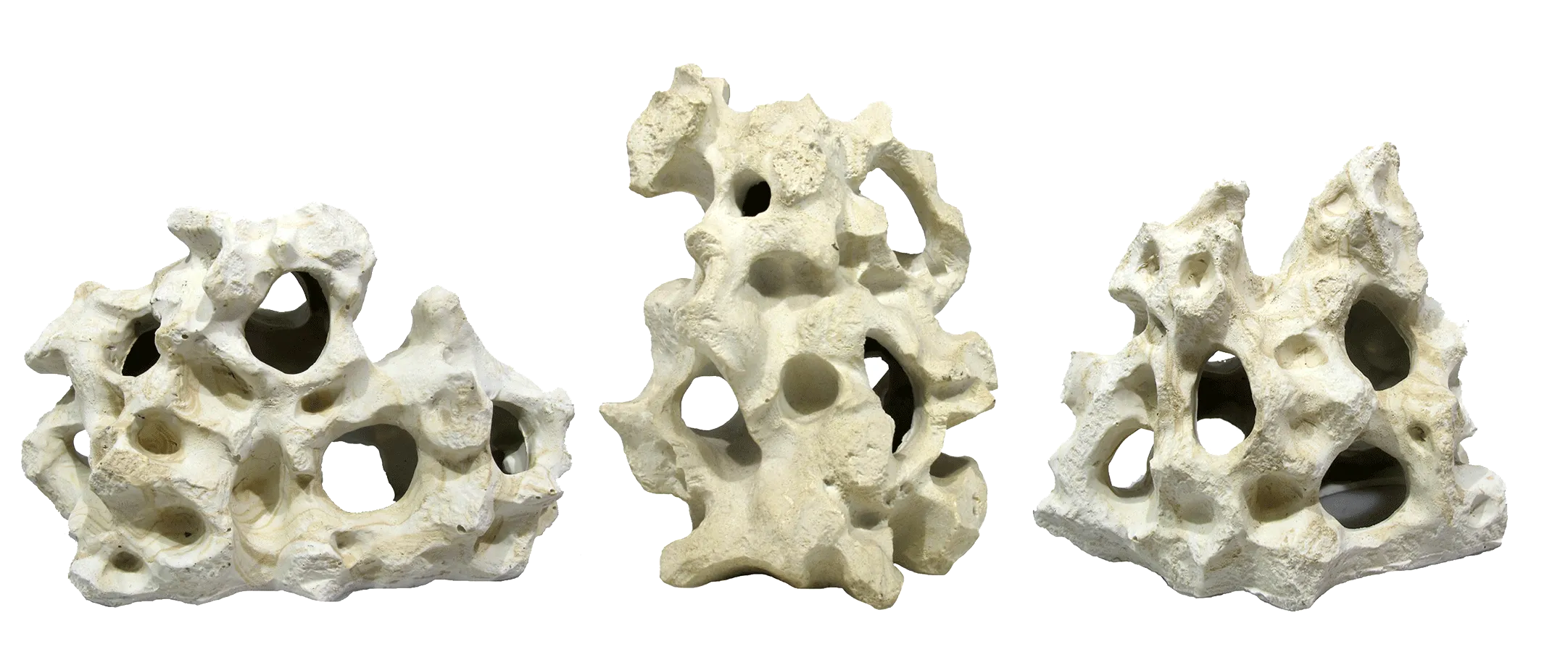 Aquamate - Ornament Holey Rock (Medium)