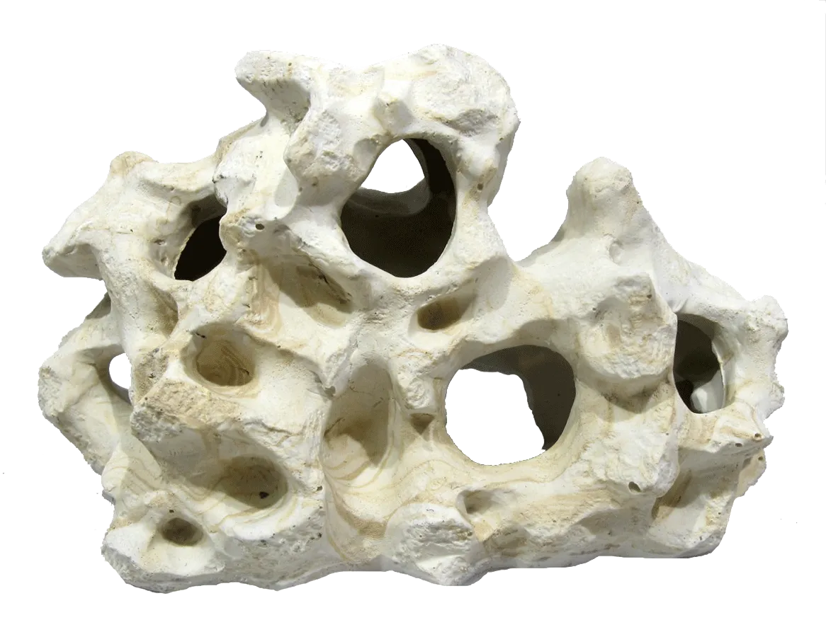 Aquamate - Ornament Holey Rock (Medium)
