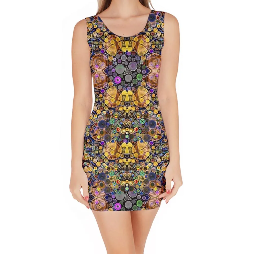 Diatom Bodycon Dress
