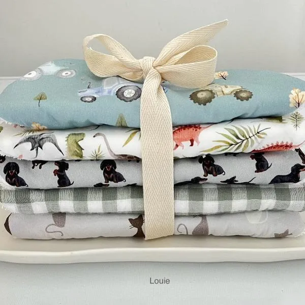 Dribble Bibs Set of 5